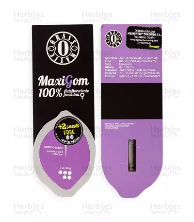Semi MAXI GOM Auto femminizzati