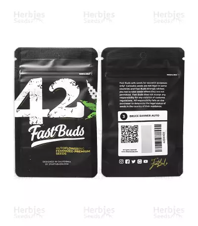 Bruce Banner Seeds (Fast Buds)