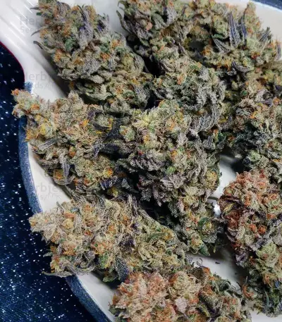 Semi femminizzati Z (Blackskull Seeds)