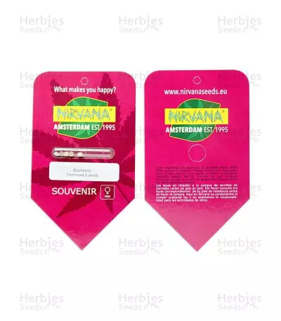 Blackberry feminized seeds