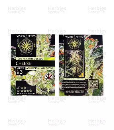 Cheese feminized seeds (Vision Seeds)