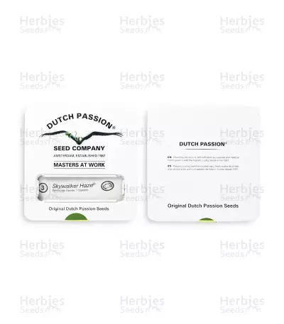 Skywalker Haze feminized seeds (Dutch Passion)