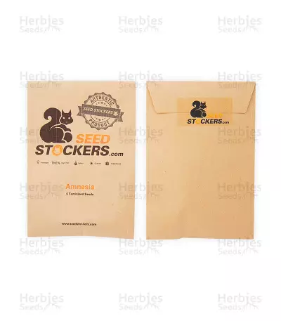 Amnesia Seeds (Seedstockers)