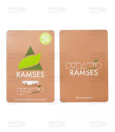 Ramses (Pyramid Seeds)