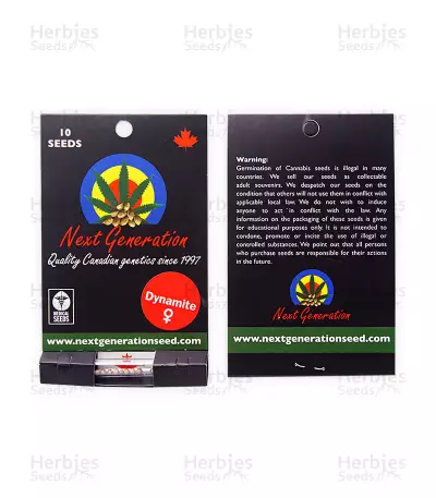 Dynamite Seeds