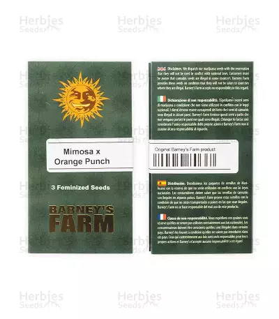 Mimosa x Orange Punch Seeds (Barneys Farm)
