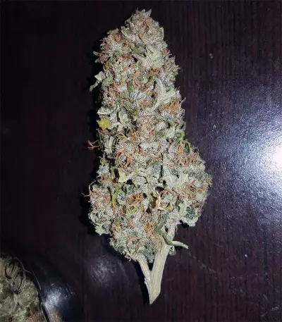 Graines de cannabis Auto Sweet Soma (00 Seeds)