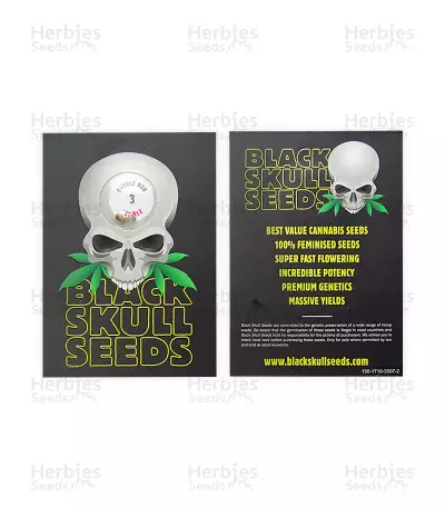 Bubble Bud (Blackskull Seeds)