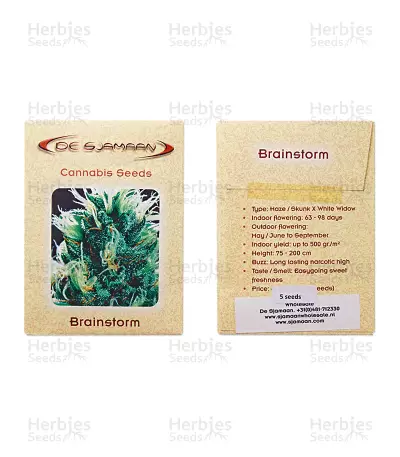 Brainstorm Seeds