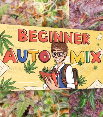 Beginner Auto Mix (Herbies Seeds)