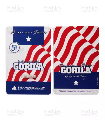 Semi femminizzati di Gorila