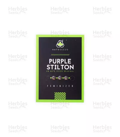 Purple Stilton Auto