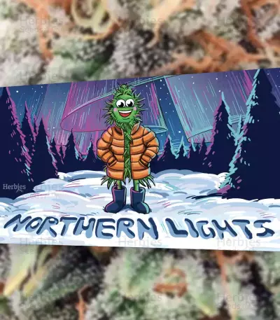Northern Lights (Herbies Seeds)