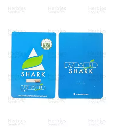 Shark (Pyramid Seeds)
