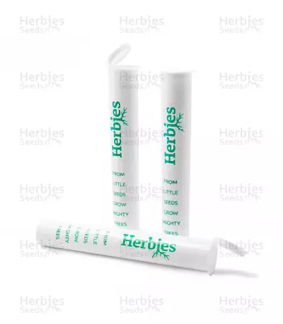 Contenant tube (Herbies)