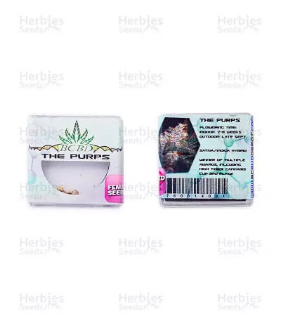 The Purps (BC Bud Depot Seeds)