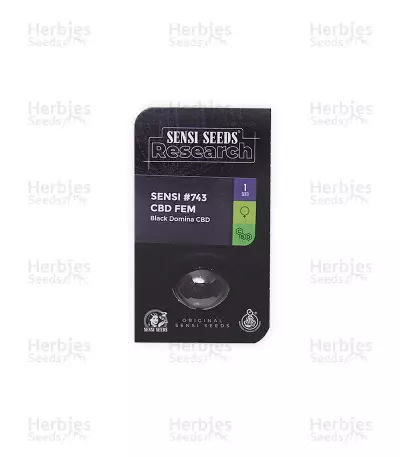 Sensi #743 CBD (Sensi Seeds)
