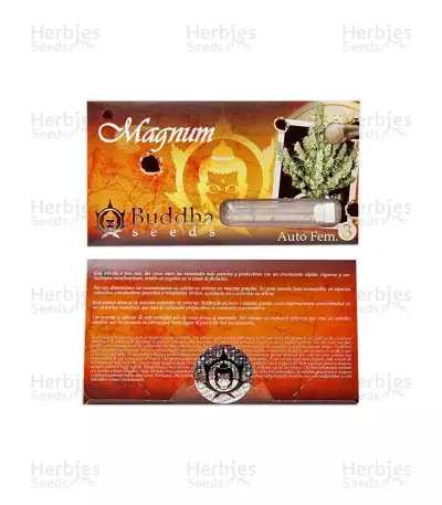 Buddha Magnum Auto Seeds