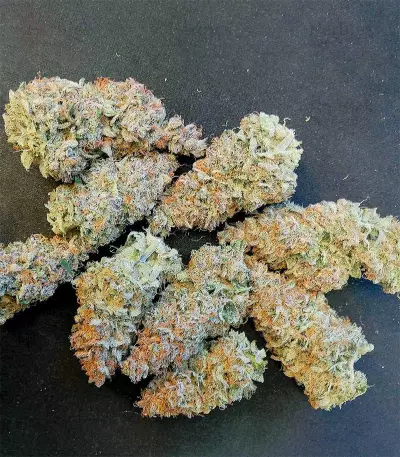 Super Skunk Autoflower (Herbies Seeds)