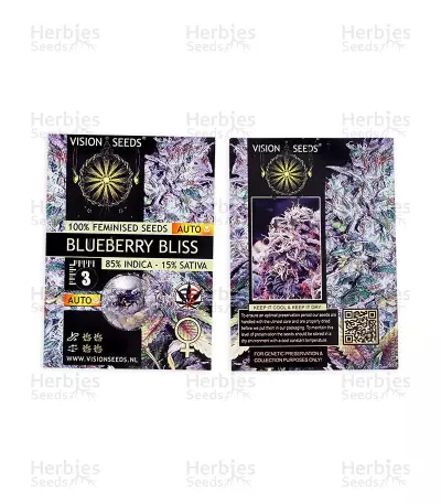 Blueberry Bliss Auto strain seeds