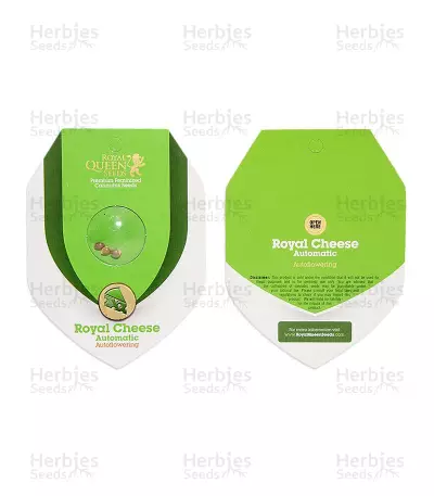 Royal Cheese Automatic (RQS) Cannabis-Samen