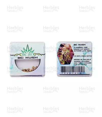 BC Kush regular seeds