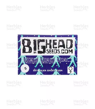 Skywalka Ghost Kush (Big Head Seeds)