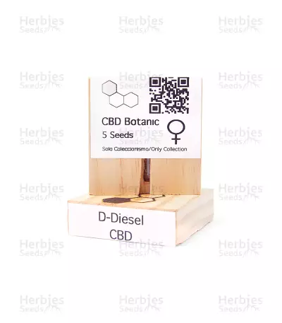 CBD D Diesel feminized seeds