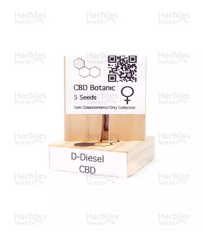 CBD D Diesel feminized seeds