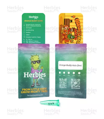 Semi Femminizzati Orange Buddy Auto (Herbies Seeds)