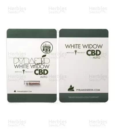 Auto White Widow CBD Seeds