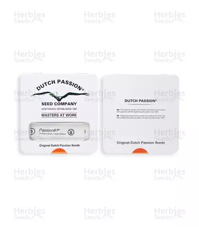 Passion #1 feminized seeds
