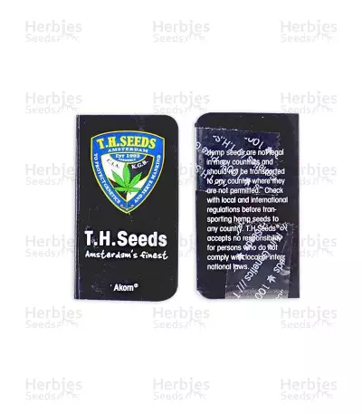 Akorn Feminized Seeds
