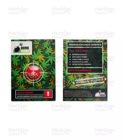 Auto Bomb strain