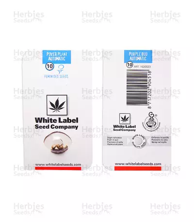 Graines de cannabis Power Plant Auto (White Label)
