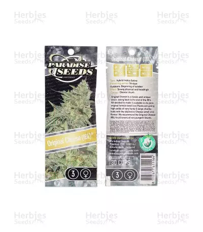 Original Cheese IBL Seeds