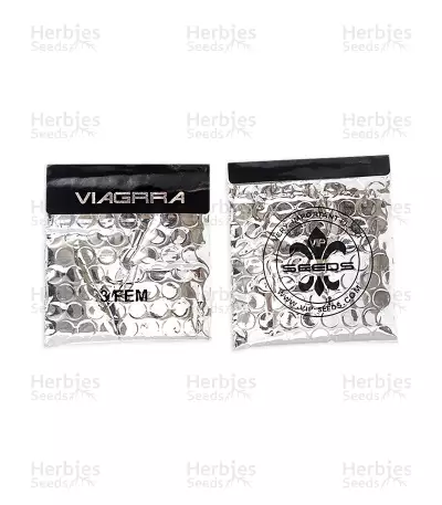 Graines de cannabis Viagrra (VIP seeds)