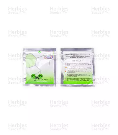 Graines de cannabis CBD Nordle (CBD Crew)