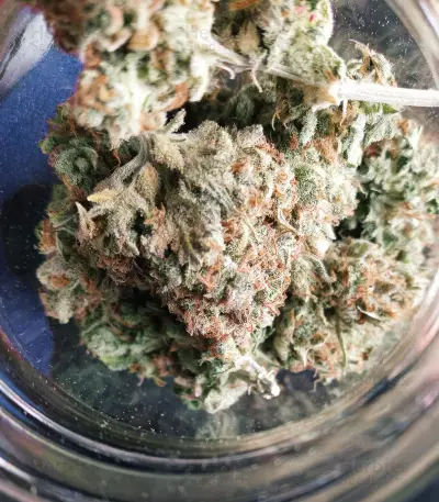 Original Afghan Kush Seeds