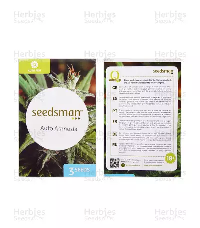 Graines de cannabis Auto Amnesia (Seedsman Seeds)