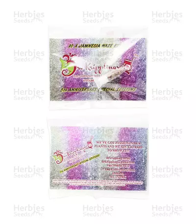 Jamnesia Haze Seeds