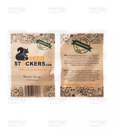 Moby Dick Auto Feminized Seeds (Seedstockers)