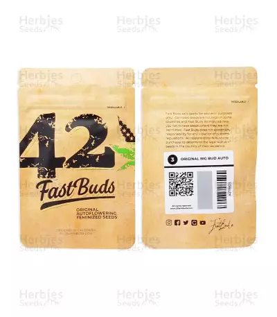 Original Big Bud Seeds