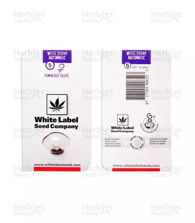 Graines de cannabis White Skunk Auto (White Label)