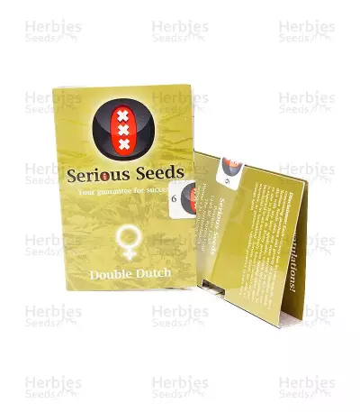 Double Dutch feminized seeds