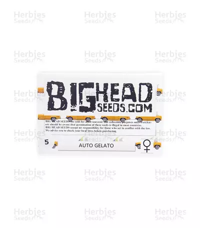 Auto Gelato strain seeds