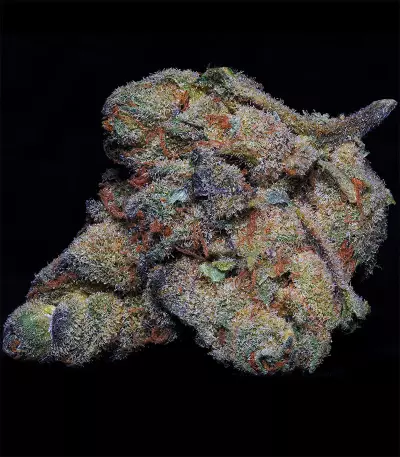 Girl Scout Cookies (Big Head Seeds)
