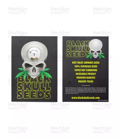 Semi femminizzati Power Bud