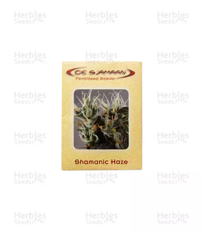 Graines de cannabis Shamanic Haze (De Sjamaan Seeds)