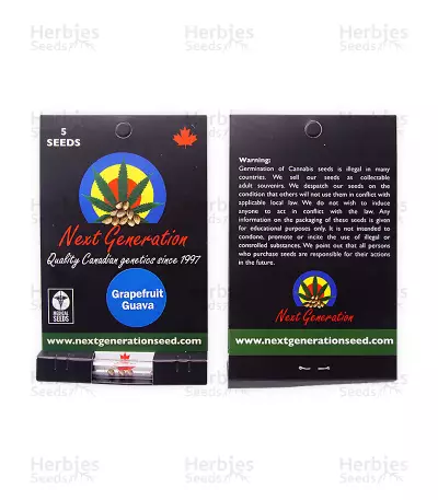 Grapefruit Guava regular (Next Generation Seeds)